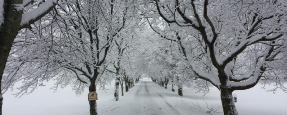 Plan Your Winter Retreat to Hartville