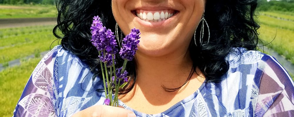 Discover: Lavender in Hartville